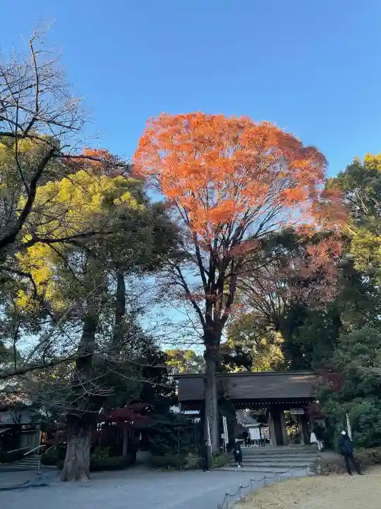 阿佐ヶ谷神明宮(東京都)