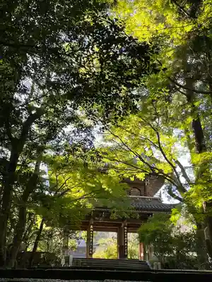 功山寺(山口県)