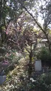 楠妣庵観音寺のその他建物