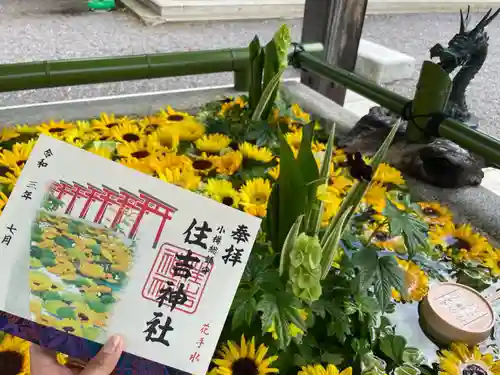 住吉神社の御朱印