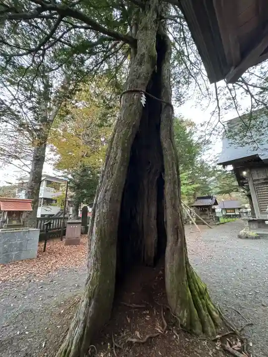 淺間神社(忍野八海)(山梨県)