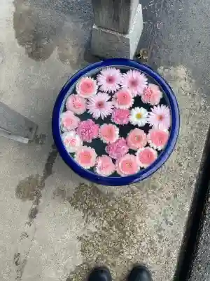 荘内神社の{uncategorized: "未分類", other: "その他", undefined: "問題あり", building: "その他建物", grave: "お墓", sacred_gate: "鳥居", guardian: "狛犬", statue: "像", buddha: "仏像", history: "歴史", nature: "自然", garden: "庭園", animal: "動物", pagoda: "塔", temizu: "手水舎", mountain_gate: "山門・神門", sanctuary: "本殿・本堂", subordinate: "末社・摂社", art: "芸術", scenery: "景色", jizo: "地蔵", ema: "絵馬", goshuin: "御朱印", omikuji: "おみくじ", items: "授与品その他", amulet: "お守り", goshuincho: "御朱印帳", eats: "食事", festival: "お祭り", votive_dance: "神楽", shichigosan: "七五三参", wedding: "結婚式", experience: "体験その他", initially: "初詣", around: "周辺", anti_infection: "感染症対策"}