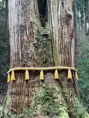 御岩神社(茨城県)