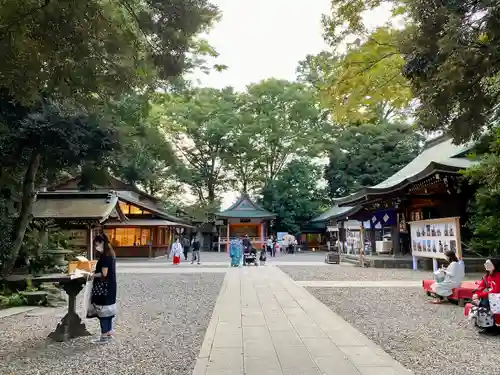 川越氷川神社(埼玉県)