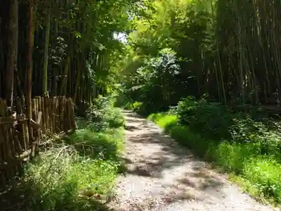 大岩神社(京都府)