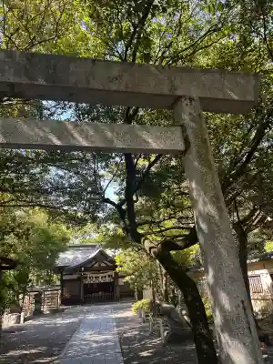 田縣神社の{uncategorized: "未分類", other: "その他", undefined: "問題あり", building: "その他建物", grave: "お墓", sacred_gate: "鳥居", guardian: "狛犬", statue: "像", buddha: "仏像", history: "歴史", nature: "自然", garden: "庭園", animal: "動物", pagoda: "塔", temizu: "手水舎", mountain_gate: "山門・神門", sanctuary: "本殿・本堂", subordinate: "末社・摂社", art: "芸術", scenery: "景色", jizo: "地蔵", ema: "絵馬", goshuin: "御朱印", omikuji: "おみくじ", items: "授与品その他", amulet: "お守り", goshuincho: "御朱印帳", eats: "食事", festival: "お祭り", votive_dance: "神楽", shichigosan: "七五三参", wedding: "結婚式", experience: "体験その他", initially: "初詣", around: "周辺", anti_infection: "感染症対策"}