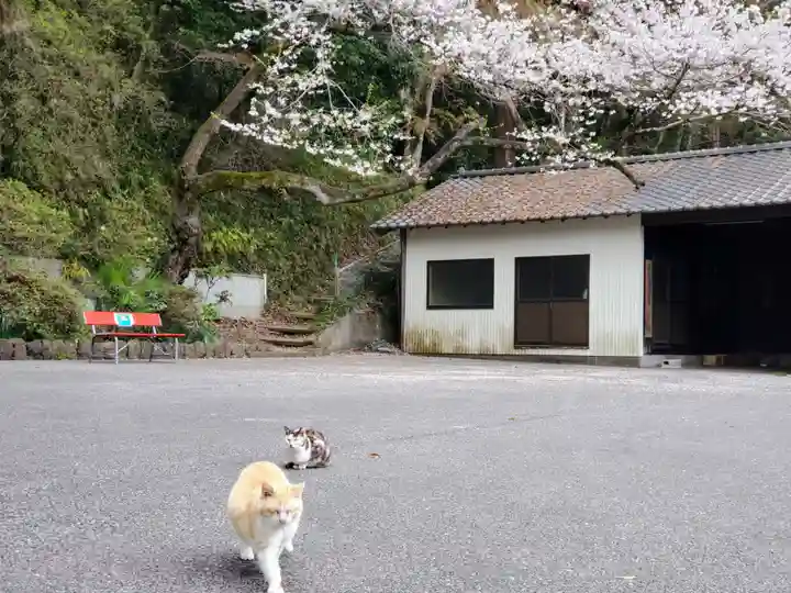 唐澤山神社の動物