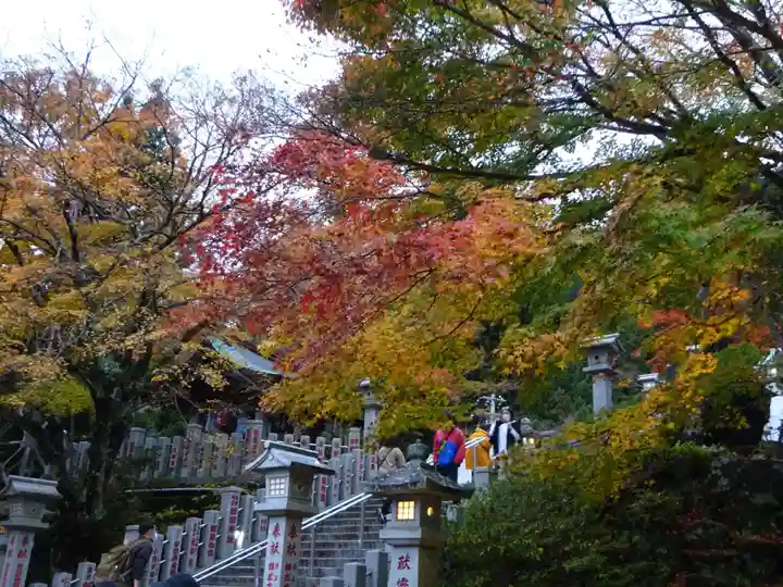 大山阿夫利神社の自然