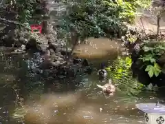 世田谷八幡宮の庭園