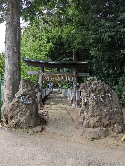 馬場氷川神社の鳥居