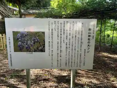 藤山神社(長崎県)
