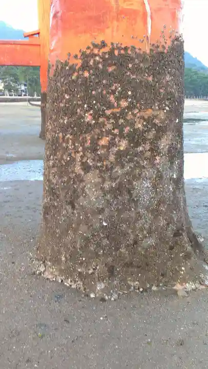 厳島神社のその他建物