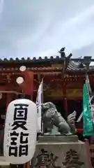 浅草神社の狛犬