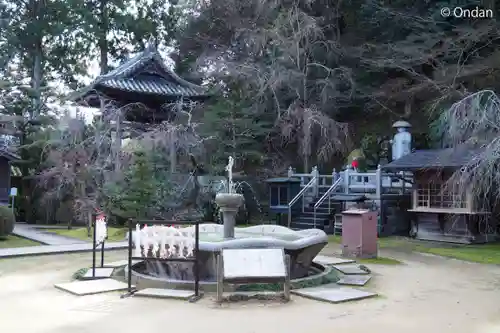 慈尊院(和歌山県)