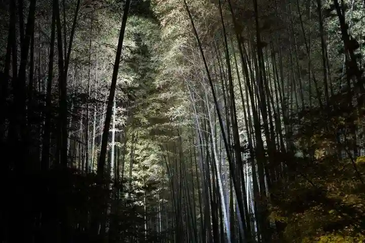 高台寺(高台寿聖禅寺・高臺寺)(京都府)