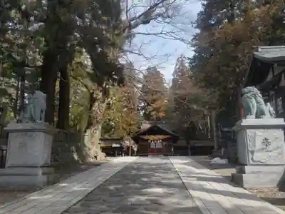 諏訪大社下社春宮(長野県)