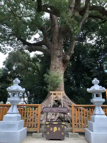 和泉國一之宮　大鳥大社のその他建物