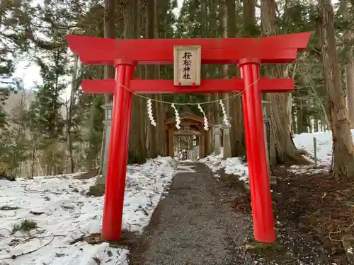 桜松神社の鳥居