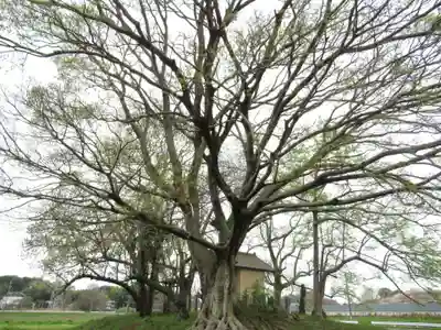 神明神社(千葉県)