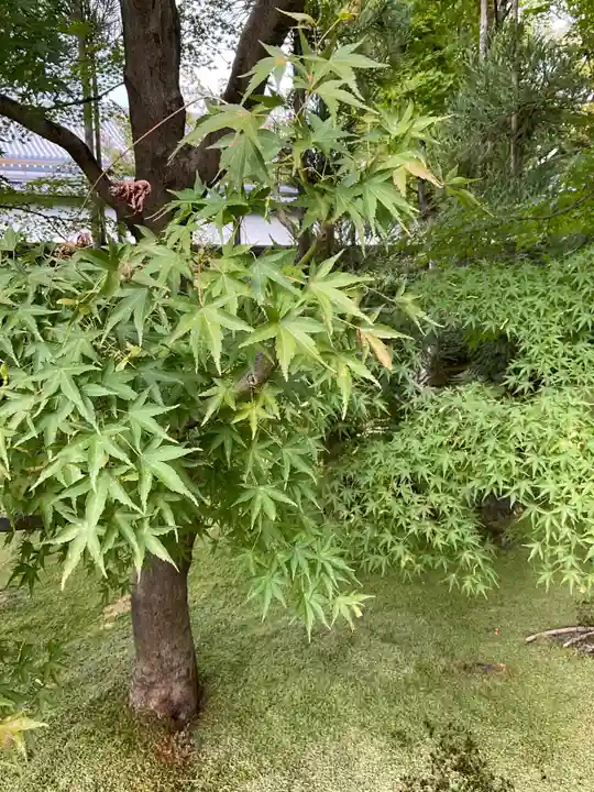禅林寺(永観堂)(京都府)