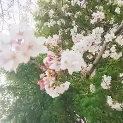 宗形神社の自然