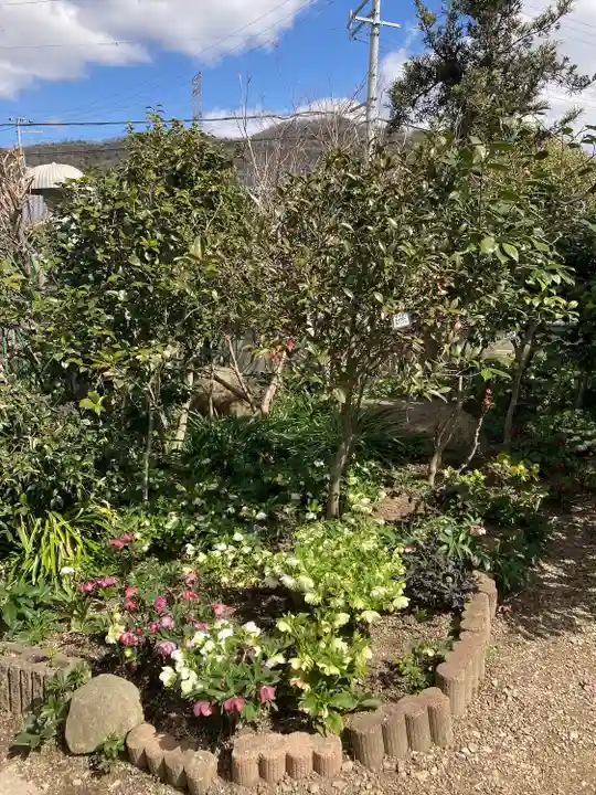 円照寺(兵庫県)