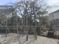 天聖寺(愛知県)