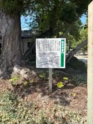 甚目寺(愛知県)