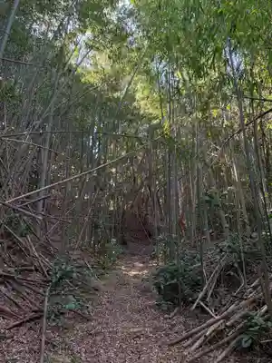 浅間大神(千葉県)