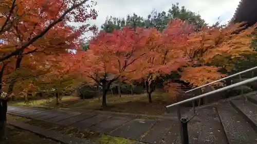 興聖寺(京都府)