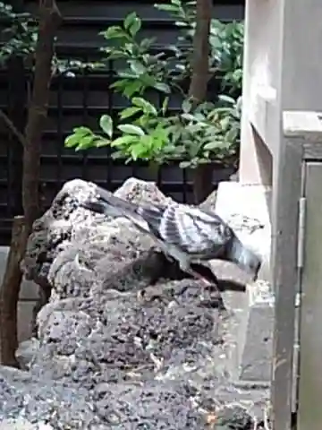 稲荷鬼王神社の動物