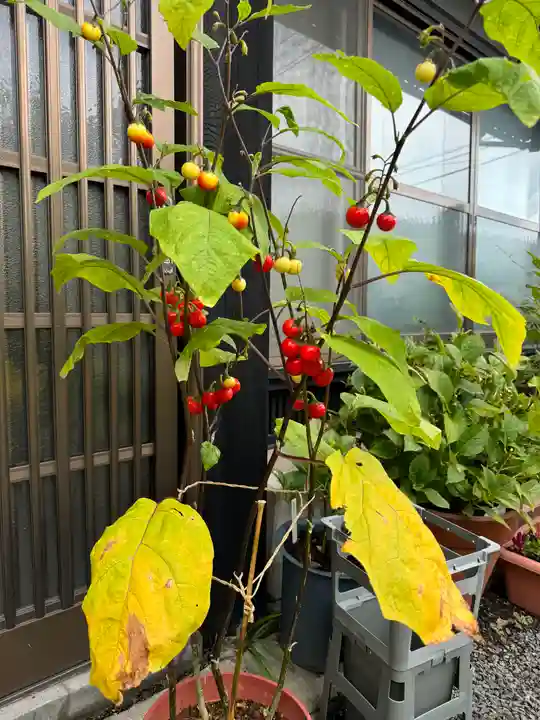 豊景神社(福島県)