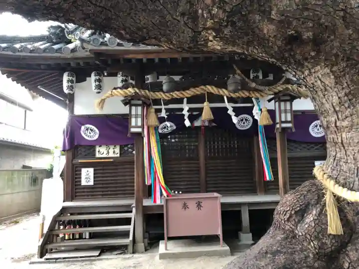 三島神社の本殿・本堂