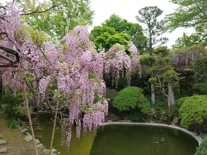 子安地蔵寺(和歌山県)