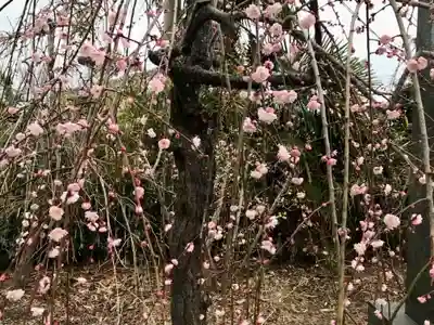 鶴峯八幡宮(千葉県)