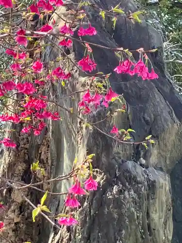 亀戸天神社(東京都)