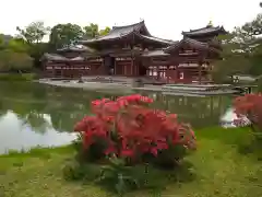 平等院(京都府)