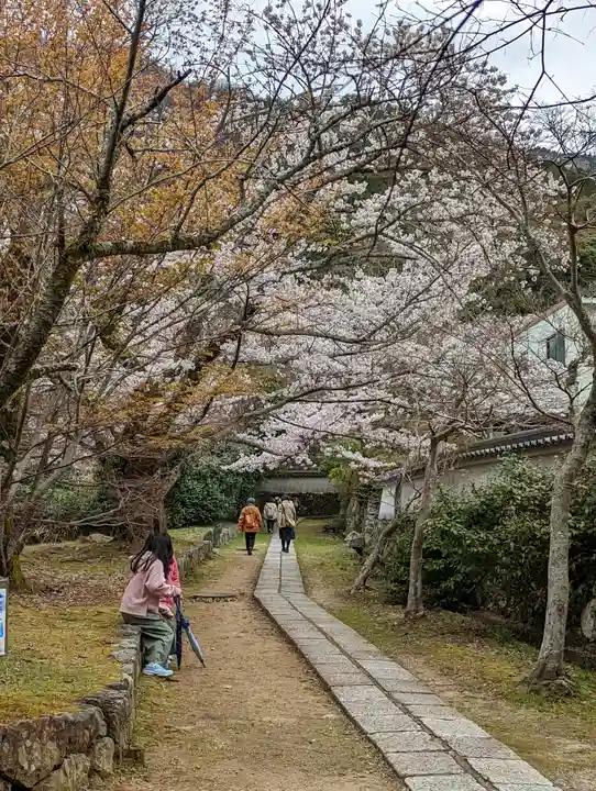 勝持寺(花の寺)(京都府)
