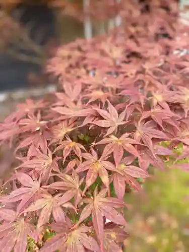 荘内神社の庭園