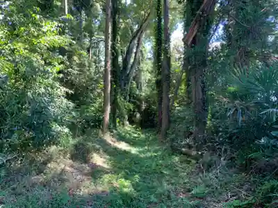 権現神社(千葉県)