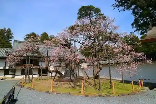 瑞巌寺の庭園