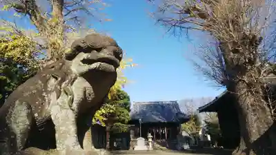 諏訪神社の狛犬