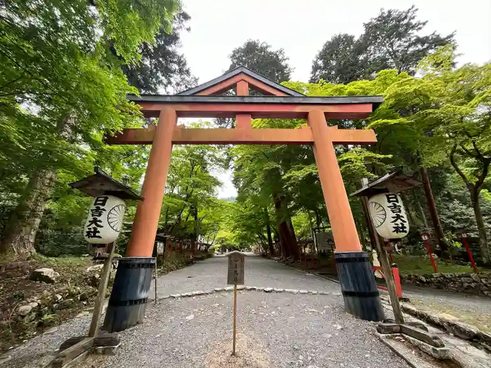 日吉大社の鳥居