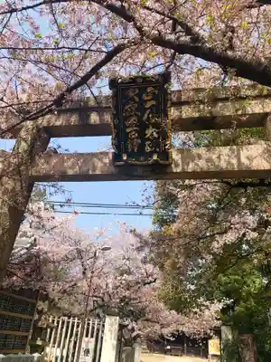 道明寺天満宮の鳥居