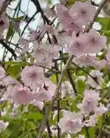 福徳寺(京都府)