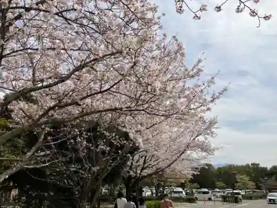 岡八幡神社の周辺
