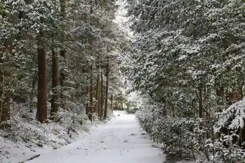 正伝護国禅寺(正伝寺･正傳寺)(京都府)
