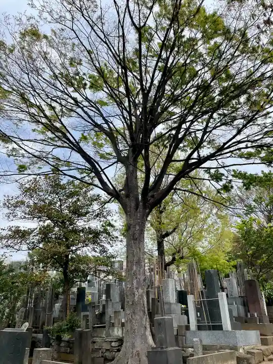 南泉寺(東京都)