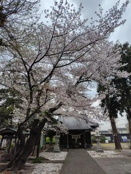 諏訪雷電神社(埼玉県)