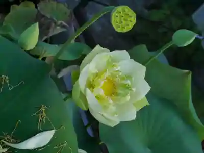 極楽山　浄土寺(北海道)